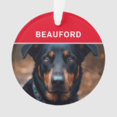 Beauceron avec le nom du chien et la photo Noël (devant)
