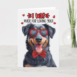 Beauceron Dog Gemaakt voor Loving You Valentijn Feestdagen Kaart