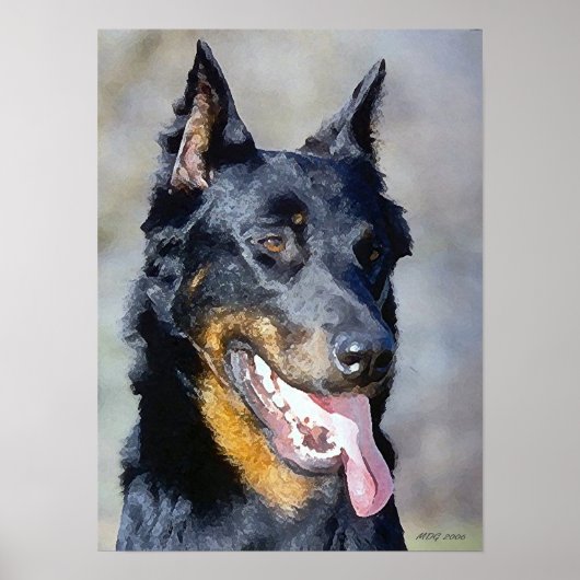Beauceron Dog Portret Poster afdrukken (Voorkant)