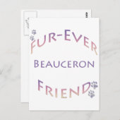 Beauceron Furever Briefkaart (Voorkant / Achterkant)