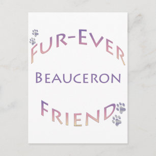 Beauceron Furever Briefkaart