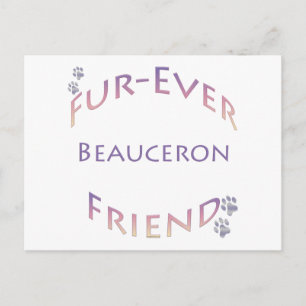 Beauceron Furever Briefkaart