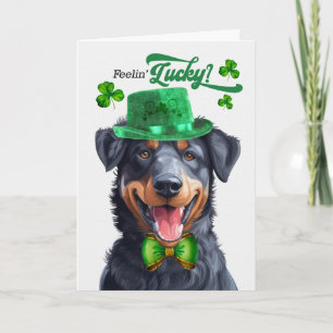 Beauceron hond voelt zich gelukkig St. Patrick's D Feestdagen Kaart