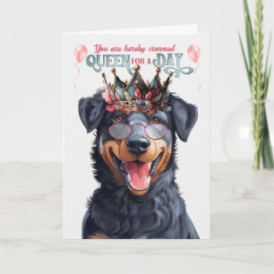 Beauceron Hondenkoningin voor Dag Grappige Verjaar Kaart