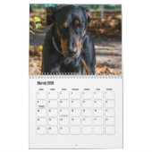 Beauceron-kalender Kalender (Mar 2026)