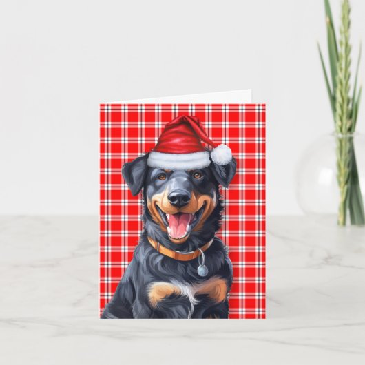 Beauceron Kersthond Rood Geruit Kerstfeest Feestdagen Kaart (Voorkant)