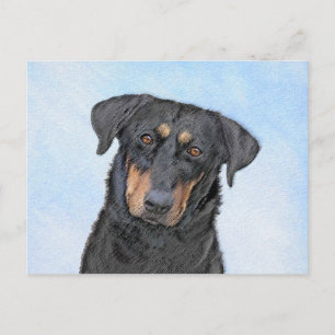 Beauceron-schildering - Kute Original Dog Art Briefkaart