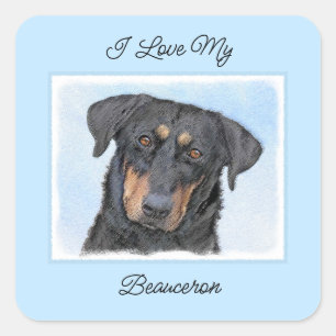 Beauceron-schildering - Kute Original Dog Art Vierkante Sticker