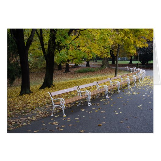 Beaucoup De Banquettes (Devant horizontal)