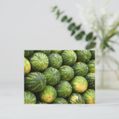 Beaucoup de carte postale de pastèques (Debout devant)