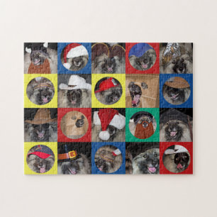 Beaucoup de casquettes de puzzle de Keeshond de