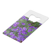 Beaucoup de fleurs phiox violet foncé (Devant Angle)