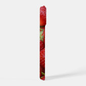 Beaucoup de fraises fraîches (Côté droit)