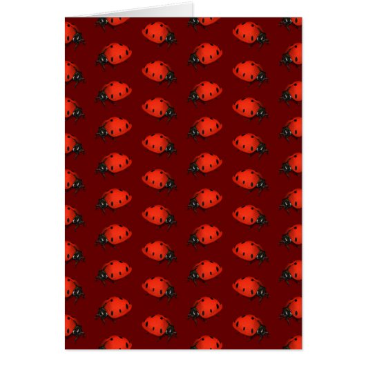Beaucoup De Ladybugs (Devant)