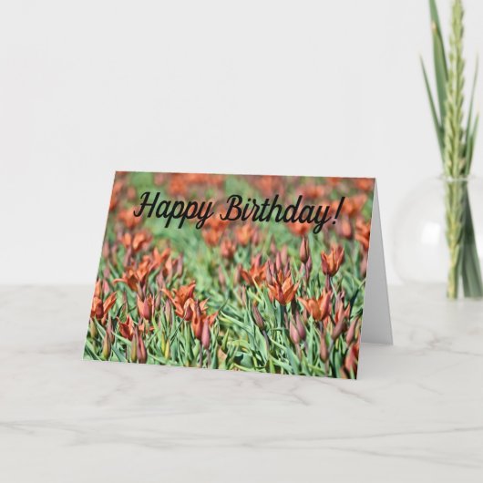 Beaucoup de tulipes orange carte d'anniversaire (Devant)