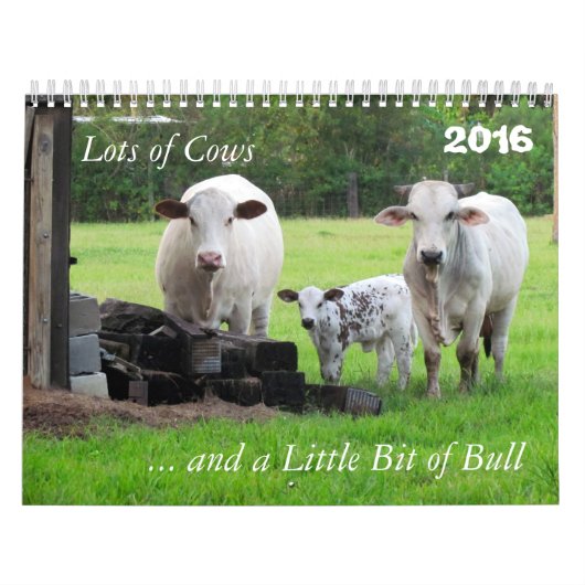 Beaucoup de vaches et un peu de calendrier Bull (Protection)