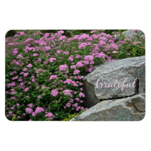 Beauece Rock Garden Gratitude Magneet