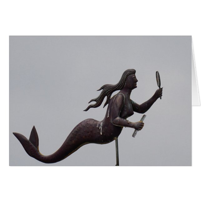 Beaufort Weather Forcast (Voorkant Horizontaal)