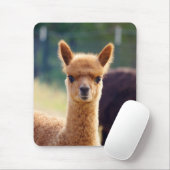 Beauful Alpaca Mousepad Muismat (Met muis)