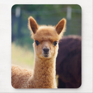 Beauful Alpaca Mousepad Muismat