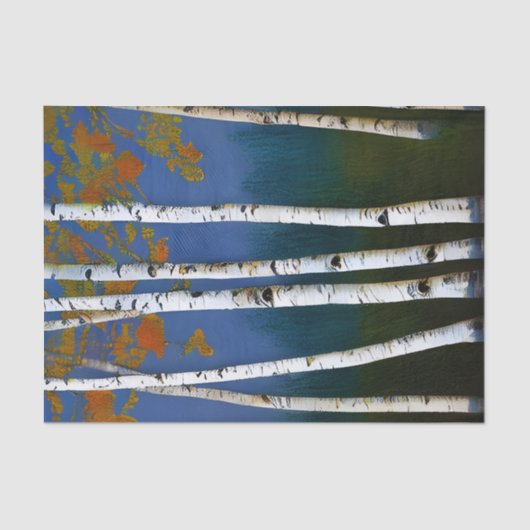 Beauful Autumn Birch Tissuepapier (Voorkant)