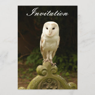 Beauful Barn Owl Invitation Kaart