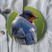 Beauful Barn Swallow Ronde Button 6,0 Cm (In situ)