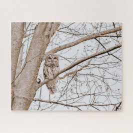 Beauful Barred Owl Michigan Bossen Audubon Legpuzzel