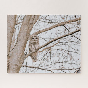 Beauful Barred Owl Michigan Bossen Audubon Legpuzzel