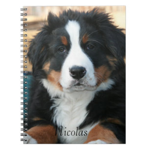 Beauful Bernese Mountain Dog Notitieboek