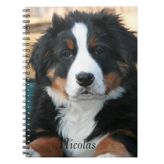 Beauful Bernese Mountain Dog Notitieboek (Voorkant)