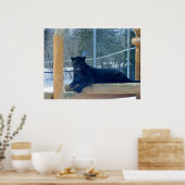 Beauful Black Jaguar Poster (Keuken)