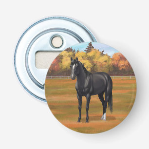 Beauful Black Quarter Horse Stallion Button Flesopener