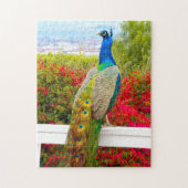 Beauful Blue Green Peacock Foto Stijlvol beeld Legpuzzel (Verticaal)