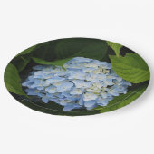 Beauful Blue Hydrangea Floral Foto Papieren Bordje (Gekanteld)