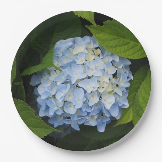 Beauful Blue Hydrangea Floral Foto Papieren Bordje (Voorkant)