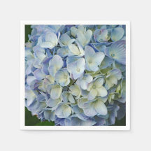 Beauful Blue Hydrangea Flowers Foto