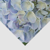 Beauful Blue Hydrangea Flowers Foto Tissuepapier (Detail)