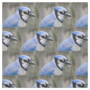 Beauful Blue Jay Closeup Stof