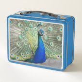 Beauful Blue Peacock Foto (Achterkant)