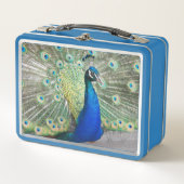 Beauful Blue Peacock Foto (Voorkant)