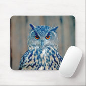 Beauful Blue Uhu Raptor Owl Muismat (Met muis)