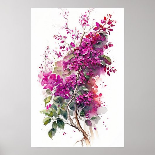 Beauful Bougainvillea-Waterverf Poster (Voorkant)