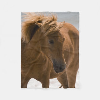 Beauful Brown Horse Fleece Blanket Deken