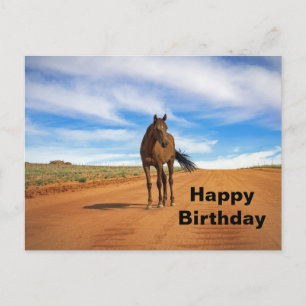 Beauful Brown Horse Road Foto Birthday Briefkaart