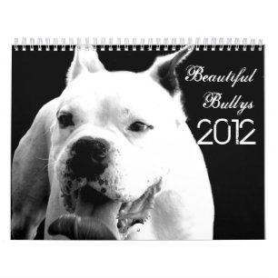Beauful Bullys 2012 Dog Calendar Kalender