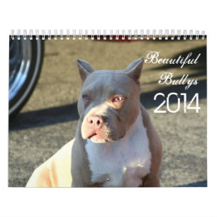 Beauful Bullys 2014 Dog Calendar Kalender
