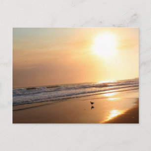 Beauful California Ocean Sunset Briefkaart