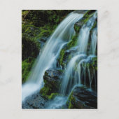 Beauful Cascade Waterfall-Briefkaart Briefkaart (Voorkant)