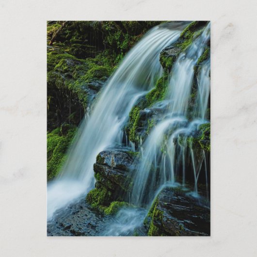 Beauful Cascade Waterfall-Briefkaart Briefkaart (Voorkant)